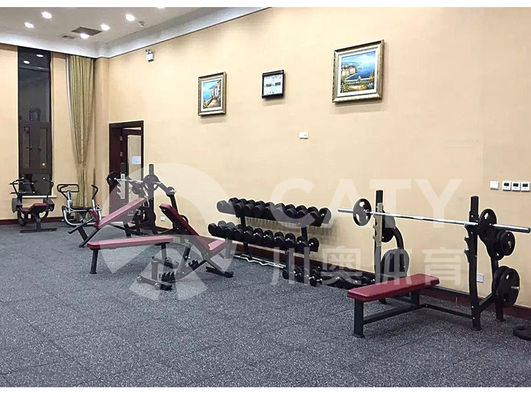 Thể thao Crossfit phòng tập thể dục sàn thảm hình vuông Fitness nhựa