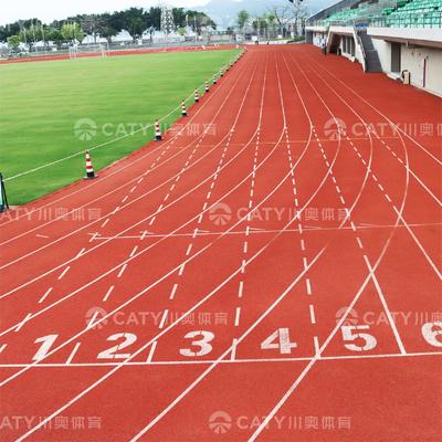 Đường chạy thấm nước thân thiện với môi trường, bán chạy cho khu vực tập thể dục bền vững và xanh